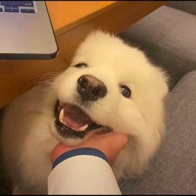 菠萝头像